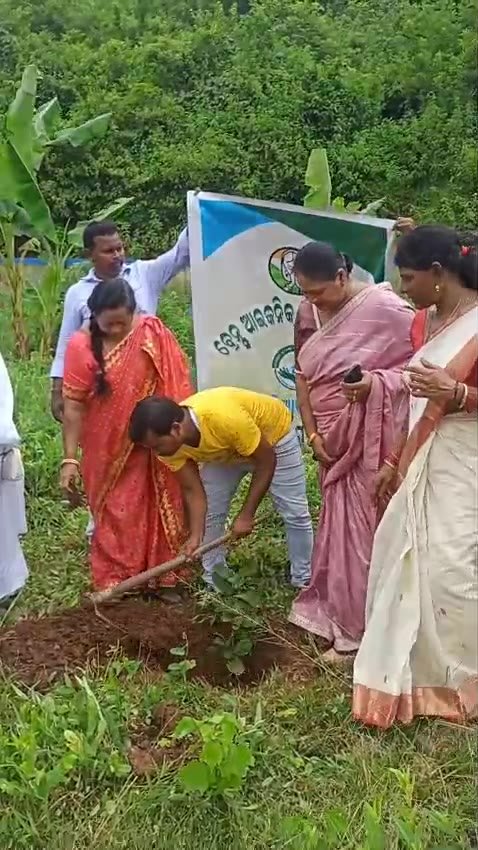 Tree Plantation Drive, Nelunga